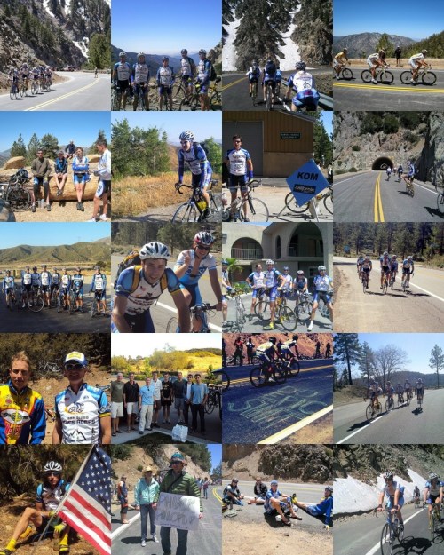 Mosaic301de70807875423c8c40c40