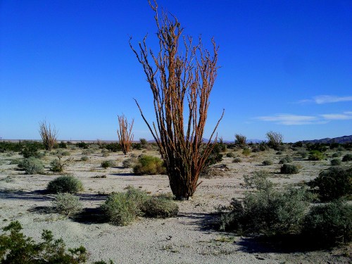 5358164331_45578a650e_b