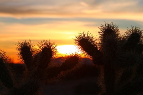 5362240511_1a2336c062_b