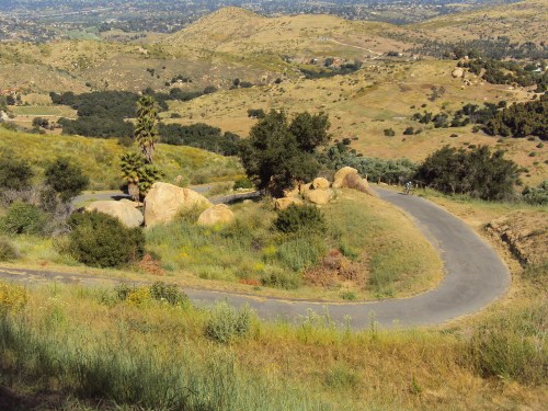 Sheehan_tackling_cda