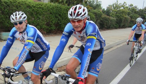 Guido_bob_and_bernie_rolling_a