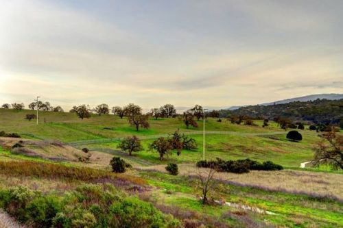 424788_10152294630035507_814832008_n