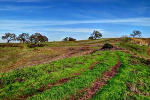 6959_10152294627035507_627575480_n