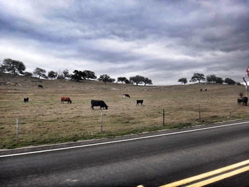 Image_36b1e97d-f65f-40f3-9af0-