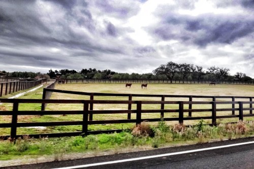 Image_58272112-503b-4806-8157-