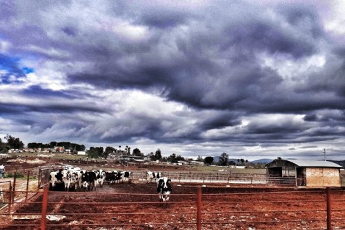 Image_94f6f6fd-a8c5-4142-a412-