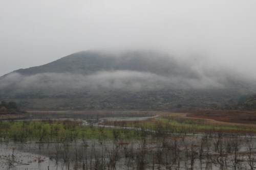 Elfin_forest_and_crosby_loop-l