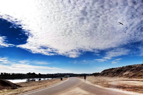 Image_122e7c79-ff1a-48d3-aa62-