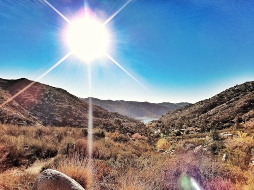 Image_ab0e9b6f-3e15-4c3a-a639-